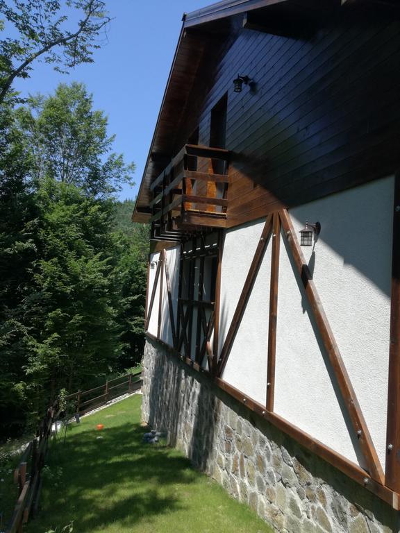 Casa Gozna Apartment Valiug Exterior photo