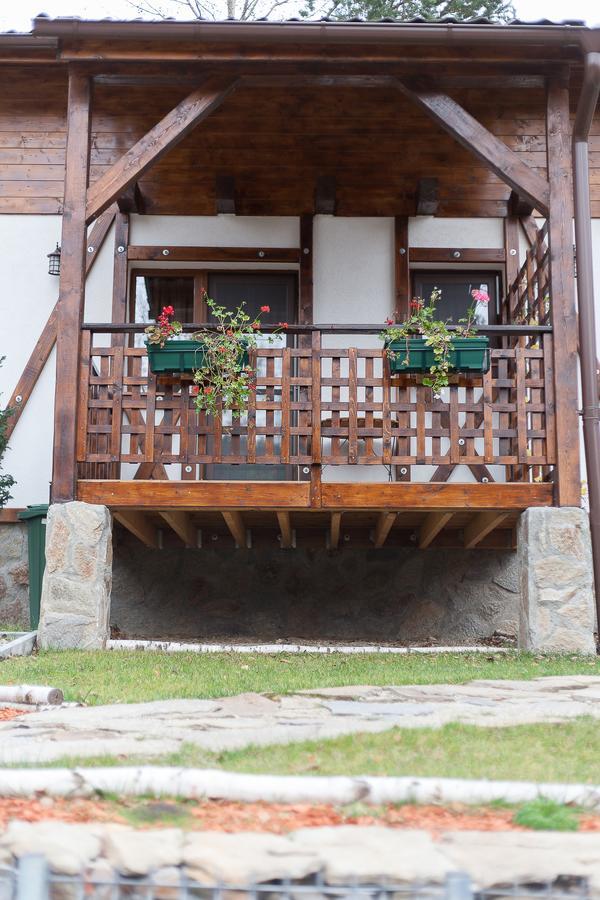Casa Gozna Apartment Valiug Exterior photo