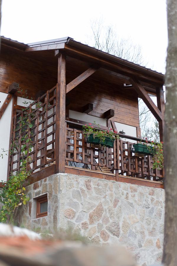Casa Gozna Apartment Valiug Exterior photo