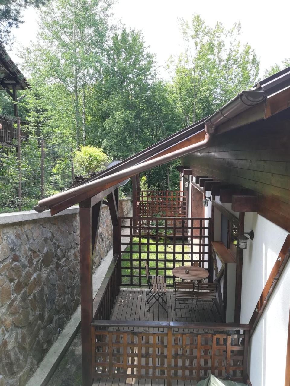 Casa Gozna Apartment Valiug Exterior photo