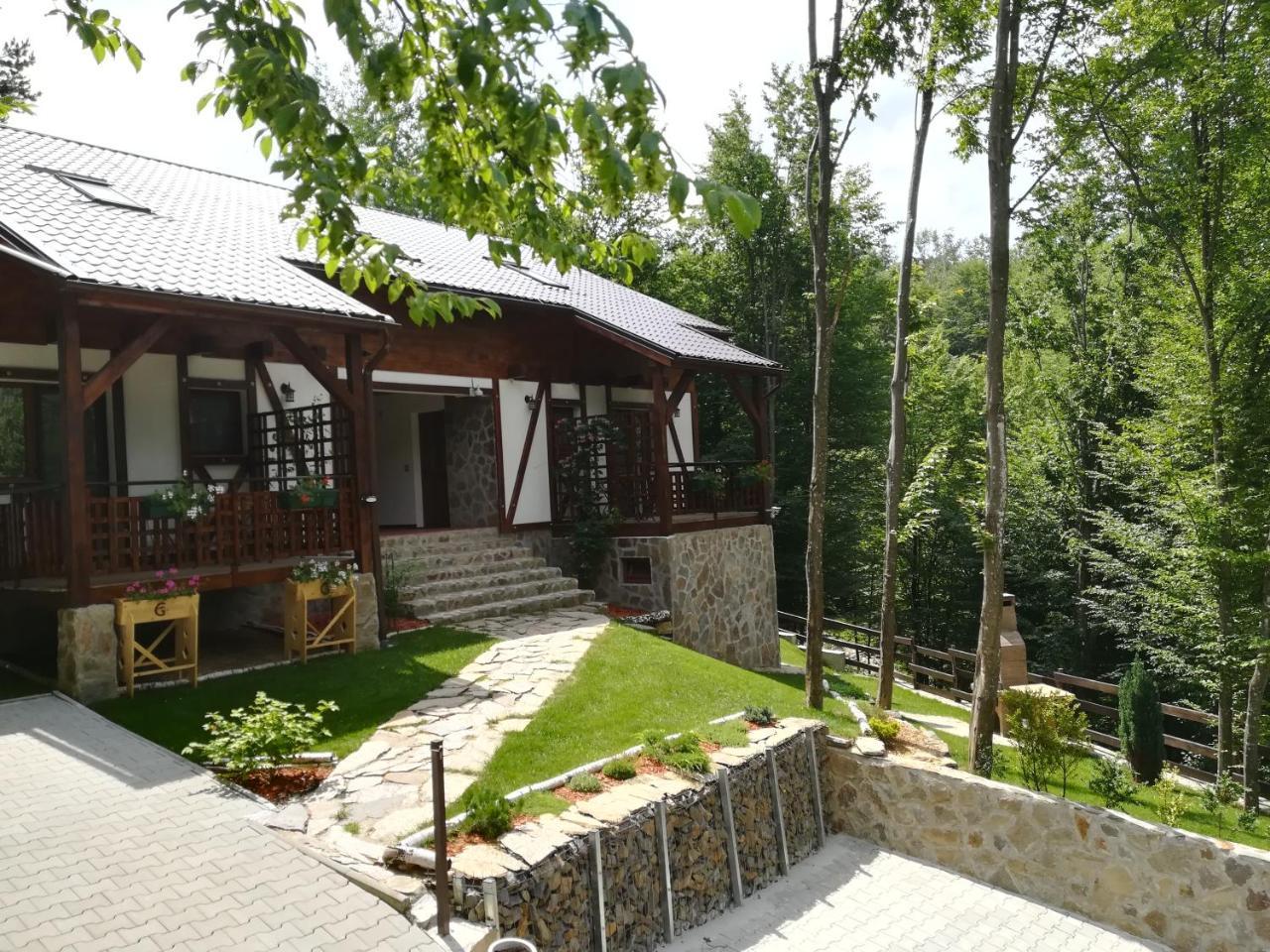 Casa Gozna Apartment Valiug Exterior photo